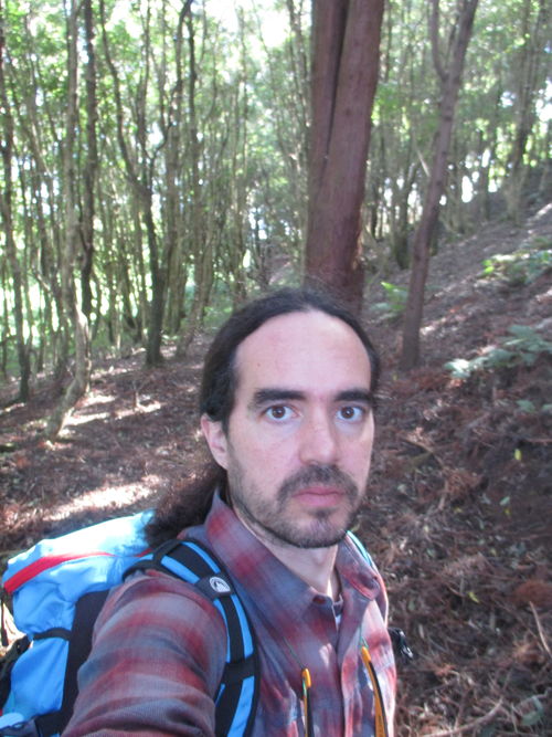 Nacho inside an Azorean forest