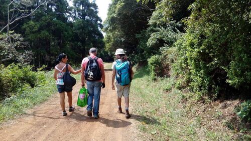 Down the Lapa trail while hiking to Maia in Santa Maria island, Azores archipelago